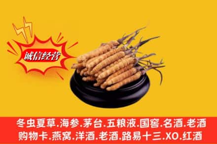 成都锦江区求购回收虫草多少钱每克
